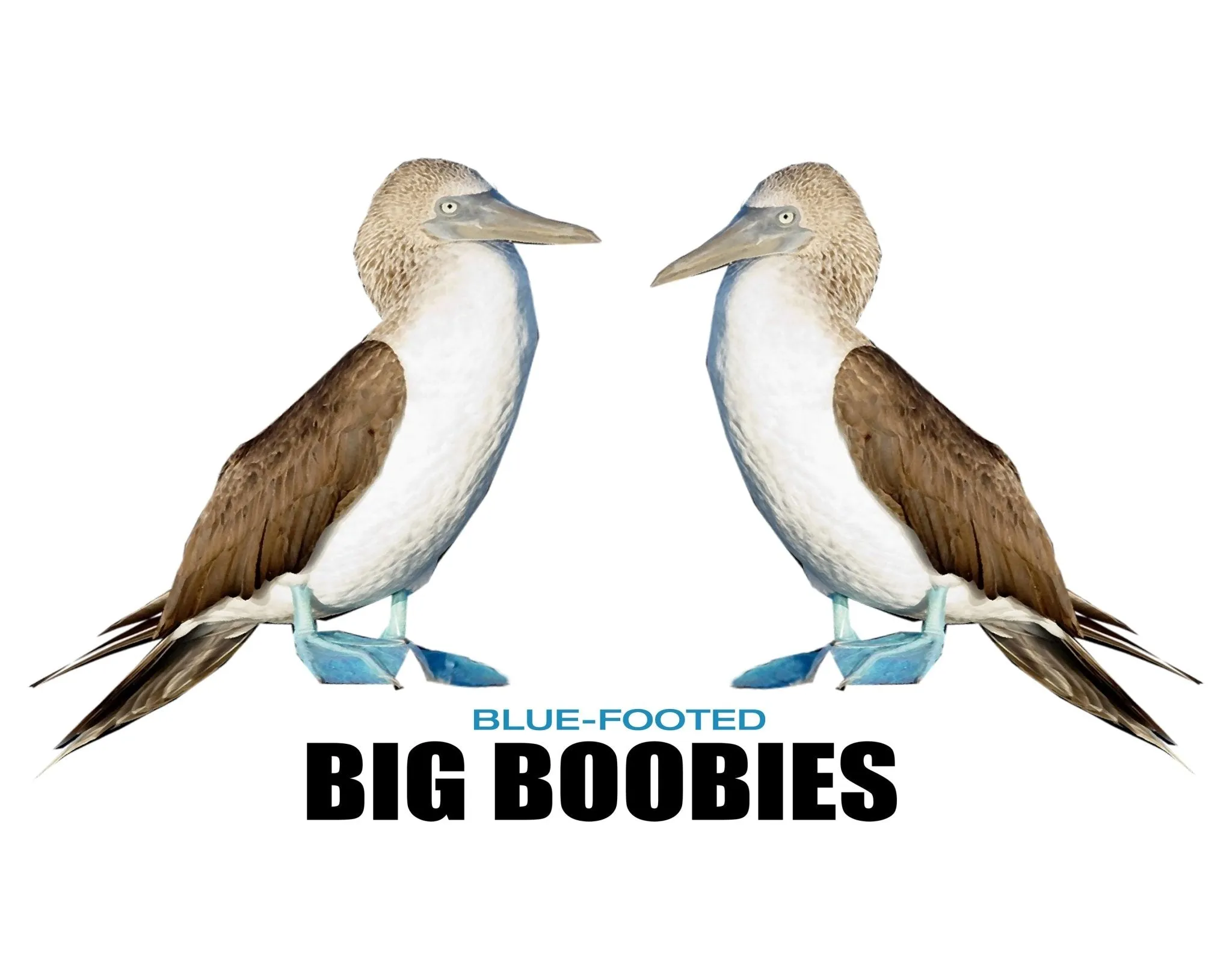 Big Blue-Footed Boobies  Champion Women's Heritage Cropped T-Shirt