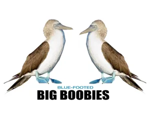 Big Blue-Footed Boobies  Champion Women's Heritage Cropped T-Shirt