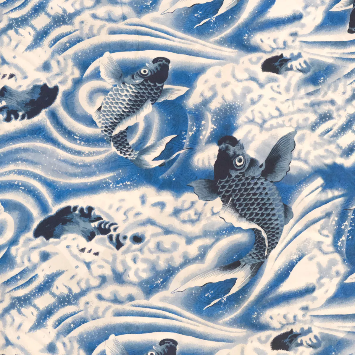 Nishikigoi (Junior) - Blue