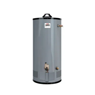 Rheem G50-60 LP