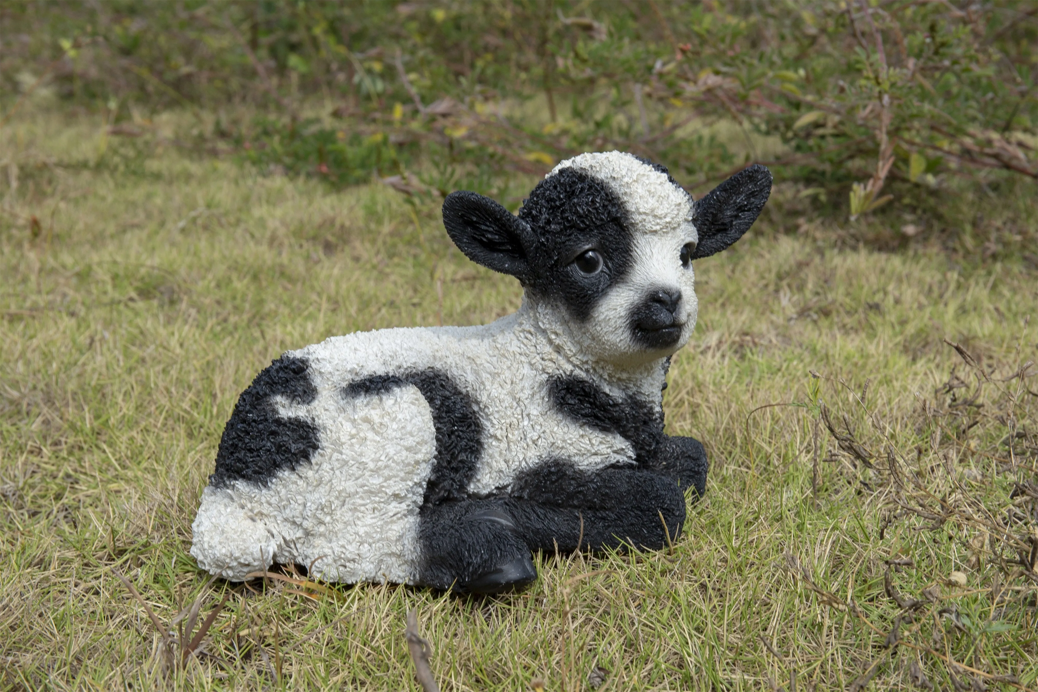 Small Black & White Baby Lamb Lying Down