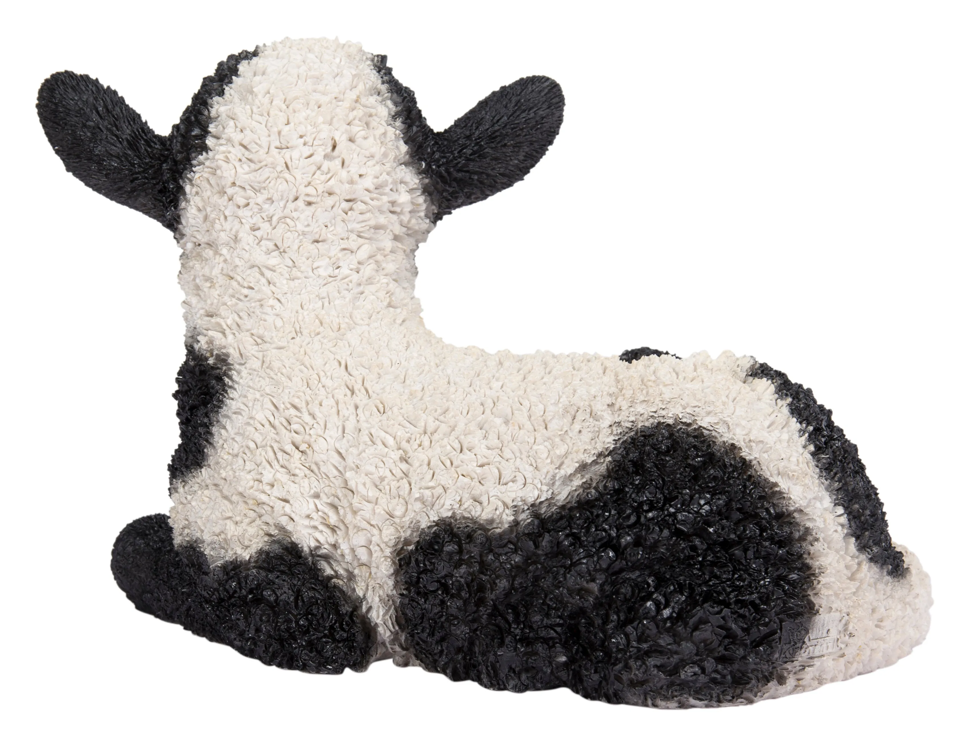 Small Black & White Baby Lamb Lying Down