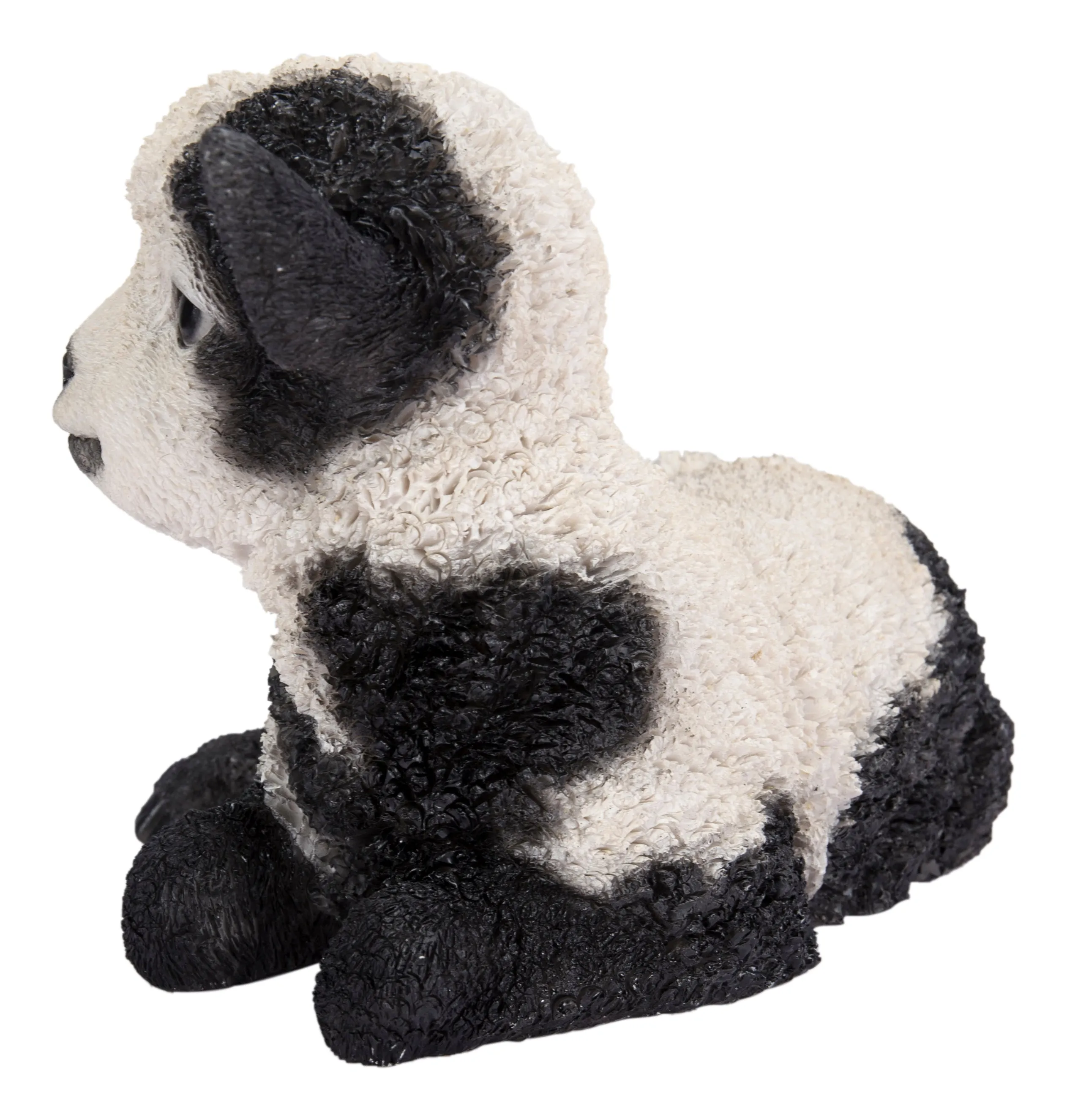 Small Black & White Baby Lamb Lying Down