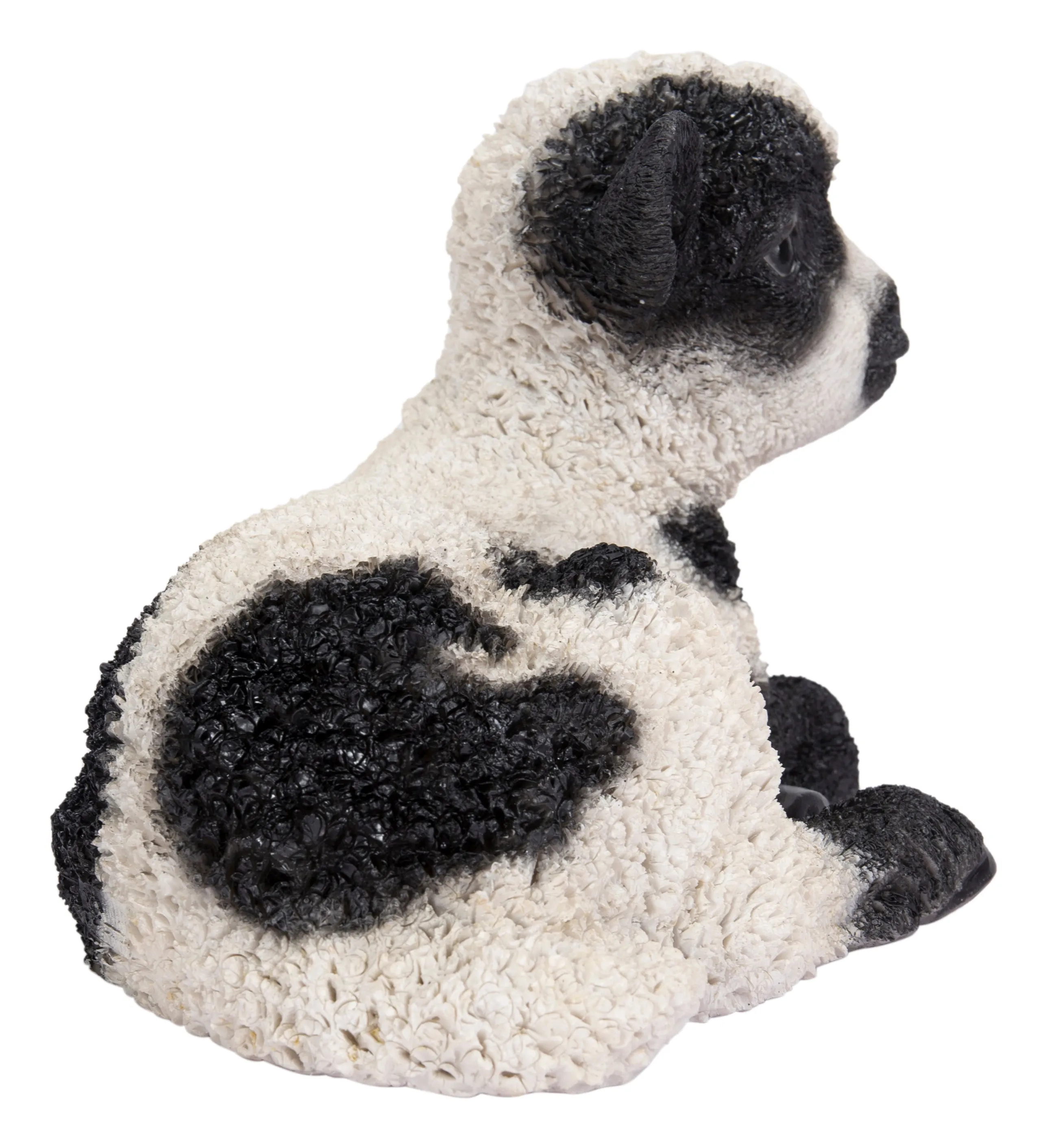 Small Black & White Baby Lamb Lying Down