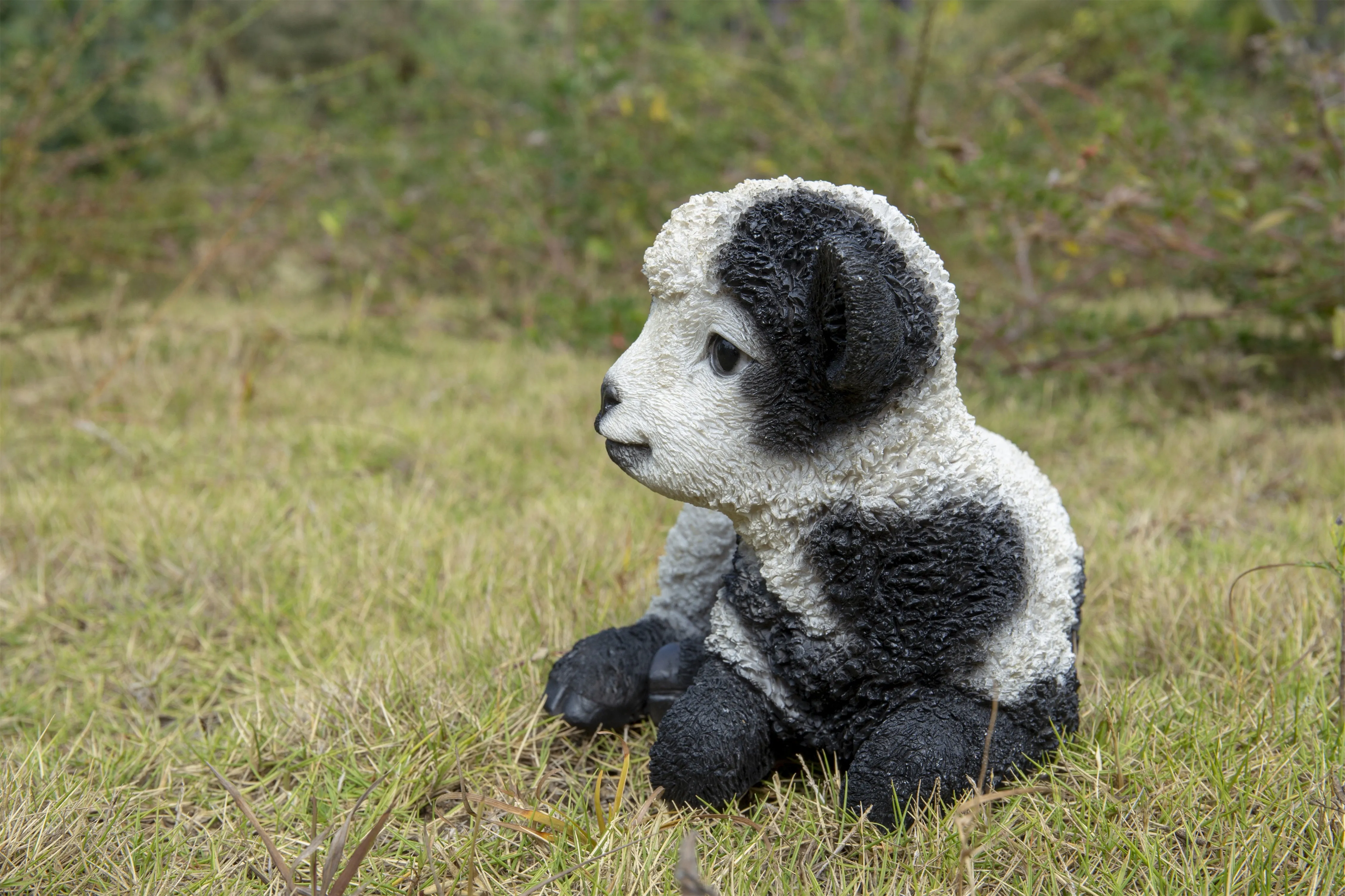 Small Black & White Baby Lamb Lying Down