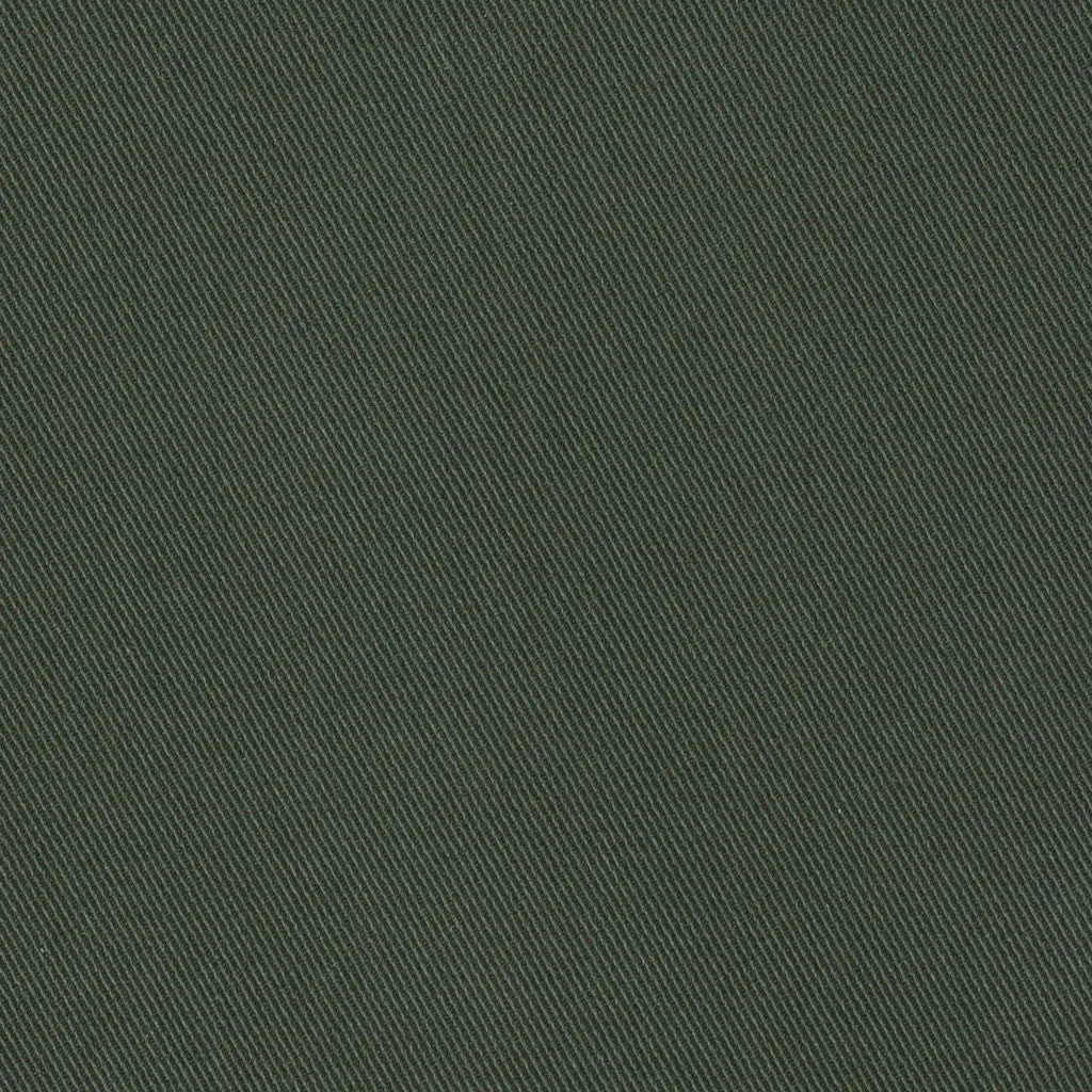 Sprague (Standard) - Forest Night Enzyme Washed Chino
